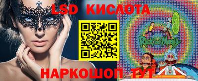 гидропоника Будённовск