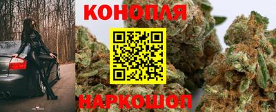 гидропоника Бузулук