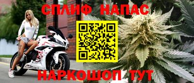 гидропоника Бузулук